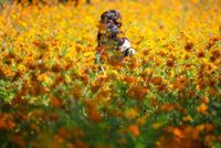 비 갠 후 쌀쌀한 아침…남부지방엔 오전까지 비 [내일날씨]