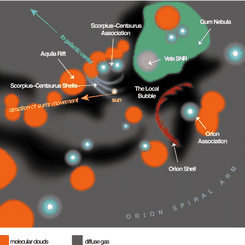 The Local Bubble and the Galactic Neighborhood