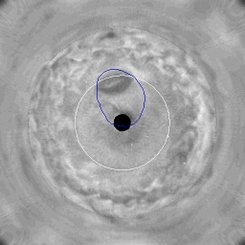 Jupiter's Great Dark Spot