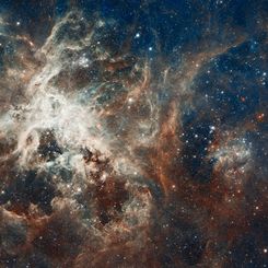 Star Formation in the Tarantula Nebula