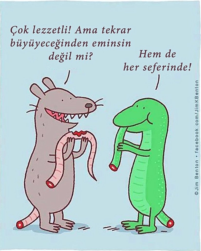 Hayvanlarda organ yenilenmesine eğlenceli bir bakış...