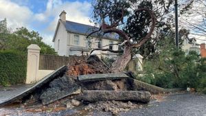 Storm Eowyn Disrupts Life Across Cumbria