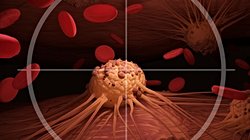 Akut Promyelositik Lösemi Nedir? A Vitamini, Bir Kanseri Nasıl Tedavi Edebilir?