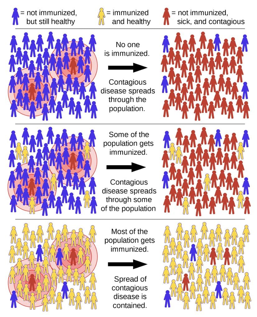 Mavi insan: Bağşıklık kazanmamış sağlıklı birey, Sarı insan: Bağışıklık kazanmış sağlıklı birey, Kırmızı insan: Bağışıklık kazanmamış hasta birey. En üstteki görselde bağışıklık kazanmamış insan topluluğunda hastalığın yayılışı görülüyor. Ortadaki görselde bağışıklık kazanmış bazı bireyler ile bağışıklığı olmayan çoğunluk bireyler hastalığı yayıyor. En alttaki görselde ise; topluluğun büyük kısmının bağışıklığı olduğu için hastalık yayılamıyor.