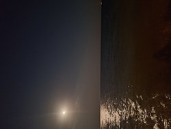 Ay ışığının denize yansımasını neden hep bizi takip edet şekilde görürüz?