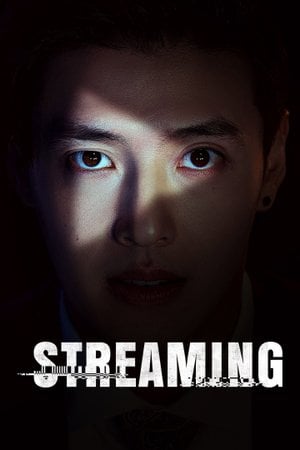 스트리밍