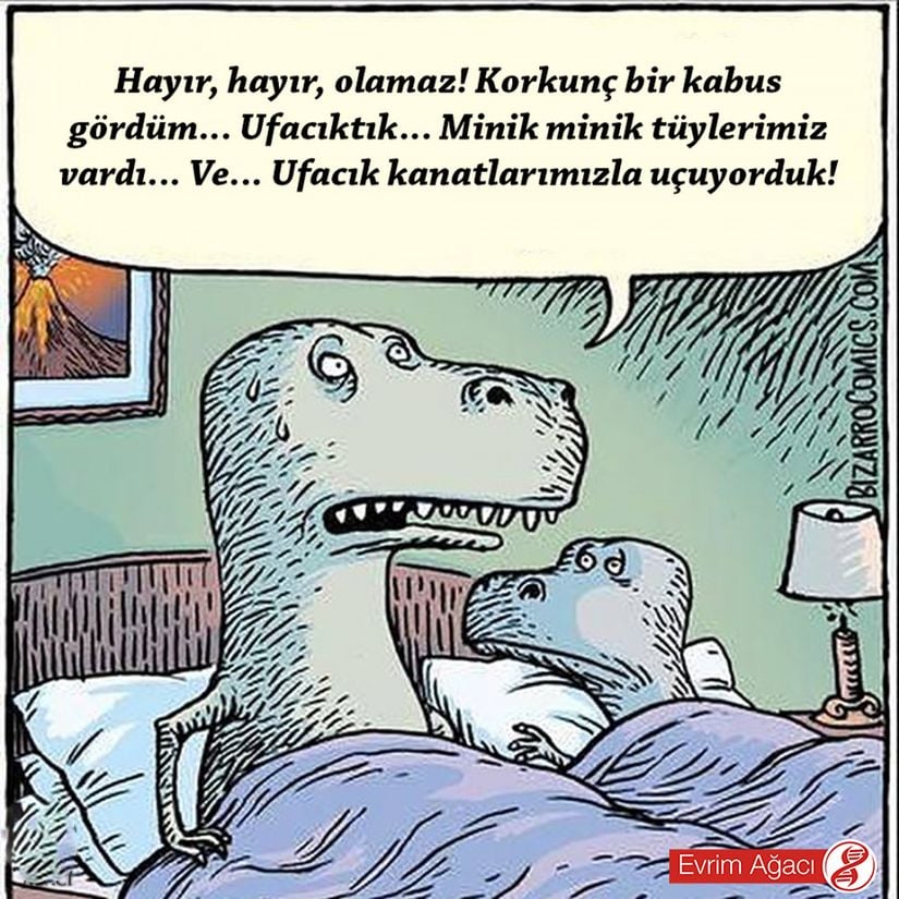 Bu hoş karikatür, devasa ve çoğu zaman heybetli dinozorların, çoğu zaman ufacık ve çelimsiz olan kuşlara evrimine yöneliktir. Kuşlara giden soy hattındaki dinozorların pek çoğu küçüktür; hatta birçoğu bugünkü tavuklar kadar ufaktır. Ancak bu ufak dinozorların bazılarının ataları, daha iri dinozorlardır.