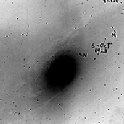 Andromeda Nebula: Var!