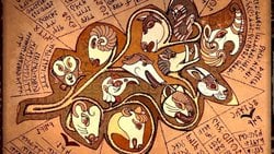 12 Hayvanlı Türk Takvimine Göre 2025 Yılı