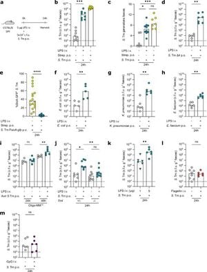 Acute Immune Activation Triggers Pathogen Overgrowth In Gut