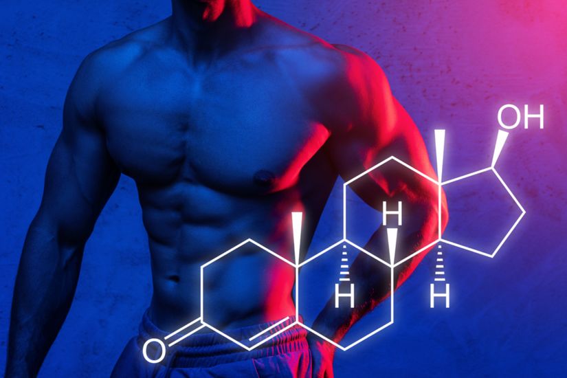 Testosteronun moleküler yapısı ve erkek fenotipik özellikleriyle ilişkisi