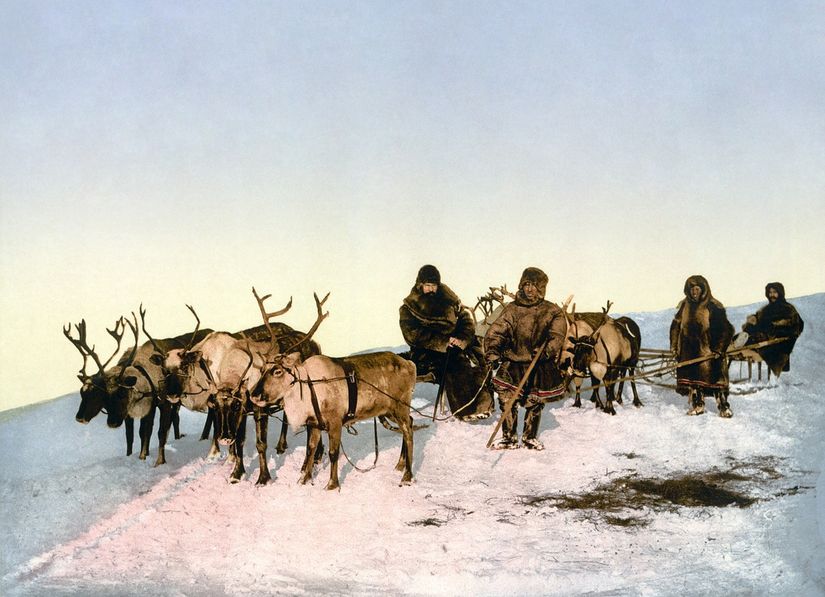 Eskimo erkekleri ve ren geyikleri maketi.