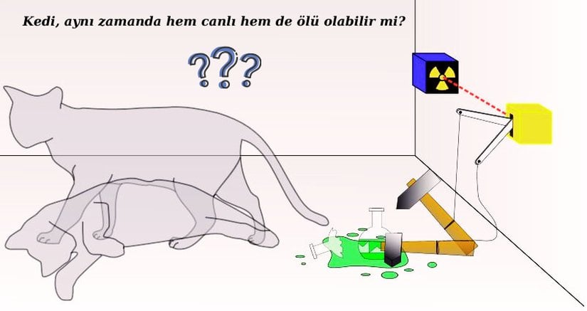Schrödinger'in kedisi - Deney düzeneği, hem ölü hem diri kedi (solda)