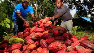 Local Wisdom Enriches Jayapura's Free Food Program