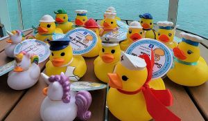 Cruising Ducks Bring Joy To Sea Adventures