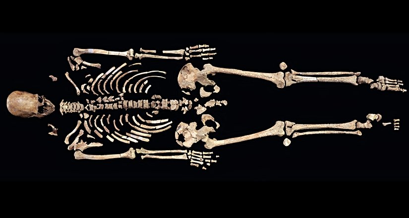 Kennewick İnsanı İskeleti.