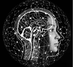 Görüntü nerede oluşur? Görüntü nedir?