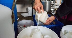 California Raw Milk Sales Suspended Over Bird Flu Outbreak