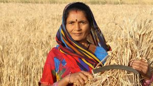 India Embraces Sustainability To Transform Agriculture