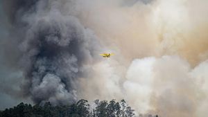 Drone Crash Disrupts Firefighting Efforts Amid LA Wildfires