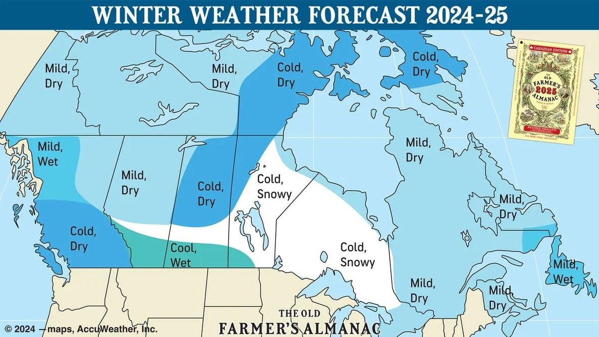 Forecasts Indicate Varied Weather For Christmas Week 2024 - The ...