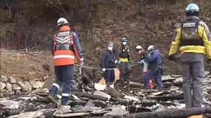 Ofunato City Forest Fire Burns Thousands Of Hectares And Buildings