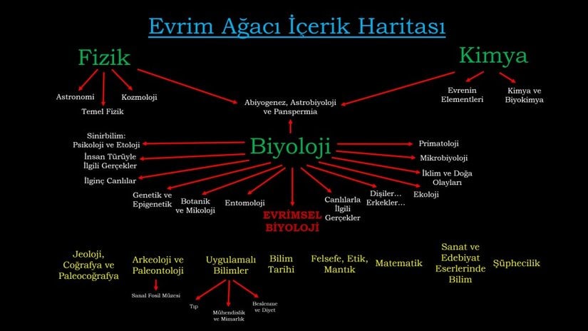 EvrimAgaci.org: Yeni Albümler, Düzenlemeler ve Güncellemeler (28.11.2014)