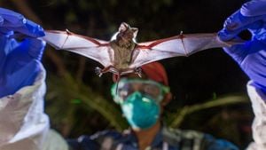 New Bat Coronavirus Discovered With Potential Human Risk