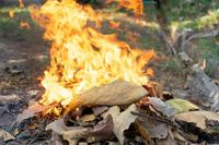 S.C. Forestry Commission issues statewide burning ban - The Sumter Item