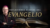 Reflexión Evangelio - Domingo, 27 de abril - Word on Fire