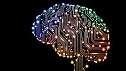 Beynimiz Çok Gelişmiş Bir Bilgisayar mı, Değil mi?