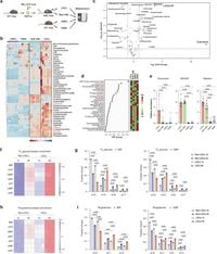 Guanine nucleotide biosynthesis blockade impairs MLL complex formation and sensitizes leukemias to menin inhibition - Nature Communications