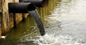 Sewage Spills Raise Alarms Over Environment And Communities