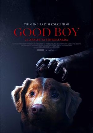 Good Boy