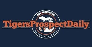 Minor League Baseball Teams Embrace Bold New Identities