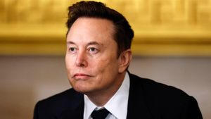 Musk's DOGE Gains Unprecedented Access To Treasury Systems