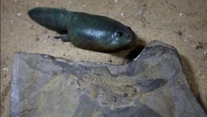 Ancient Tadpole Fossil Reveals Evolutionary Secrets