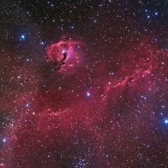  The Seagull Nebula 