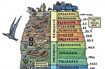 Evrimsel Süreç - 2: Evrim Tarihi'nin Büyük Zaman Çizelgesi (2. Kısım)