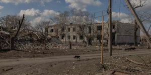 Ukraine Hopes For Ceasefire As Indirect Talks With Russia Approach