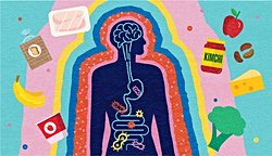 Araştırma Beyindeki Hafıza Merkezinin Yiyecek Zehirlenmesini Hatırlama Mekanizmasını Ortaya Koyuyor!