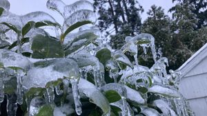 Portland Metro Area Faces Winter Weather Advisory