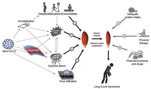 Sarcopenia And Myosteatosis: Key Prognostic Factors For ICU COVID-19 Patients