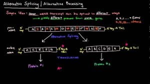 Alternative Splicing Enhances Classification Of Pituitary Tumors