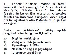 Platon ve Aristotales'in görüş ayrılığının sebebi nedir?