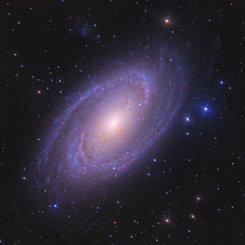  Bright Spiral Galaxy M81 