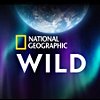 Nat Geo WILD