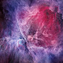  The Orion Nebula in Visible and Infrared 