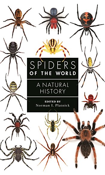Spiders of the World