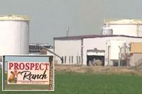 6 people dead in freak ‘dairy accident’ at Colorado farm